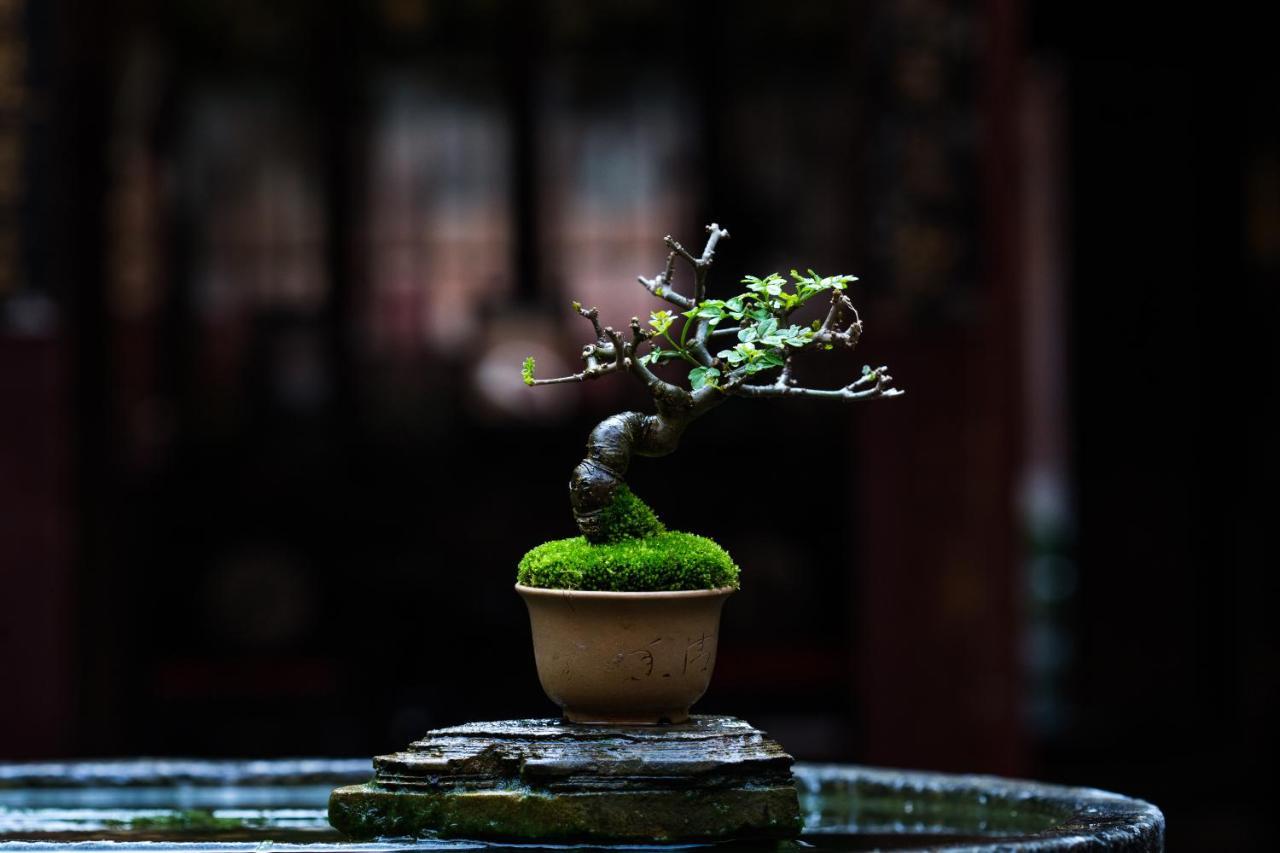 Xiamen Lanqin Gucuo Mansion Hotel Екстериор снимка